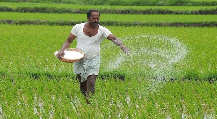 যেভাবে চিনবেন ভেজাল সার