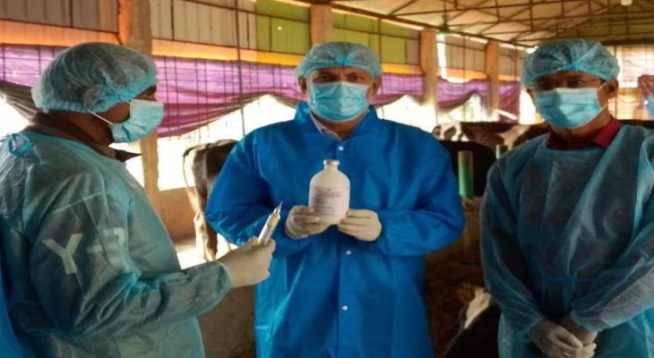 গবাদিপশুর ম্যাসটাইটিস ভ্যাক্সিন আবিষ্কার