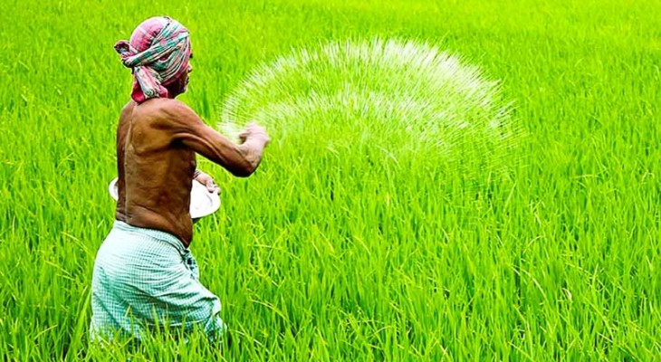 সার সরবরাহ নিয়ে উদ্বেগ