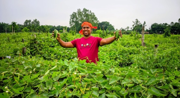 বীরগঞ্জে পটল চাষে কৃষকের বাজিমাত