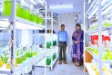 বাকৃবিতে স্বল্পব্যয়ী লাইভ ফিড-অ্যাকোয়াফিড প্রযুক্তি উদ্ভাবন 