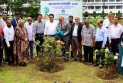 সিকৃবি ক্যাম্পাসে শোভা বৃদ্ধিতে শাহজালাল ব্যাংকের সহযোগিতায় বৃক্ষরোপণ কর্মসূচি