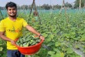 বাজারদরের তাৎক্ষণিক তথ্যে সবজি কৃষকদের দর-কষাকষির সক্ষমতা বাড়ছে